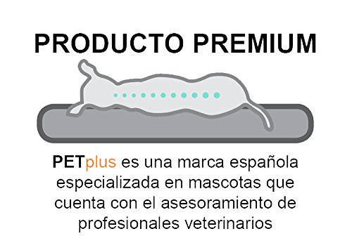 Pet CHESLONG VISCOELÁSTICO Mascotas Memory Foam