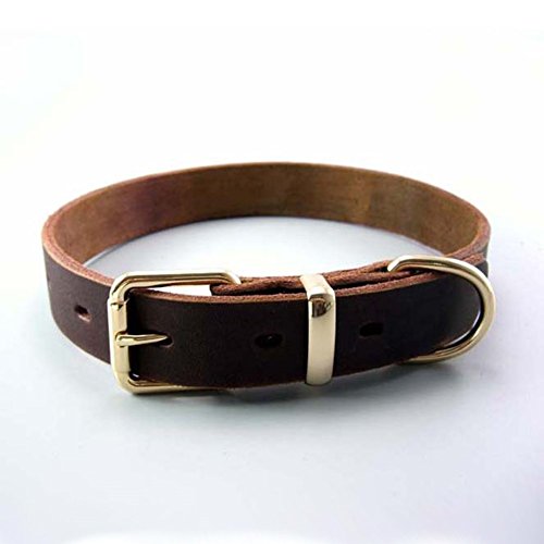 Pet Online Collar de perro de cuero hebilla de aleación de grandes y medianas mascota perro Collar, XL: 3.5*75cm