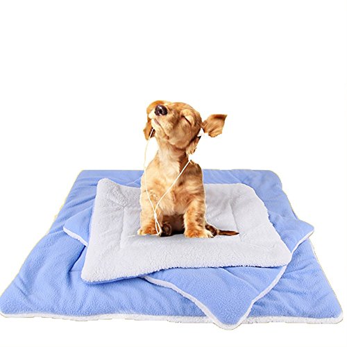 Pet Online Pet - aire acondicionado pad dispone de cuatro estaciones de pelo dorado de pequeño y mediano tamaño - perros four seasons cálida cama blanda, XL, azul