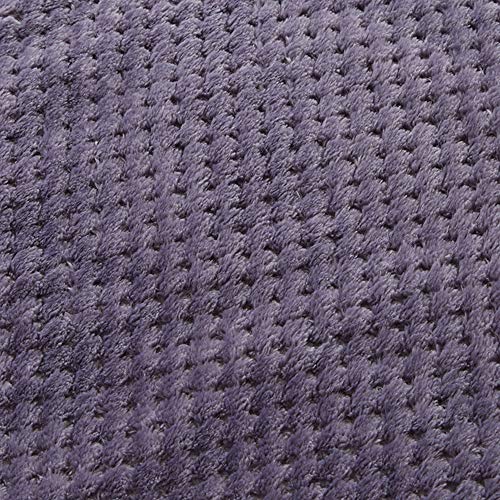 PET SPPTIES Pet Manta Fluffy Fleece Manta Lavable para Animales Perros, Gatos, Conejos y Otras Mascotas PS051 (100x150cm, Purple)