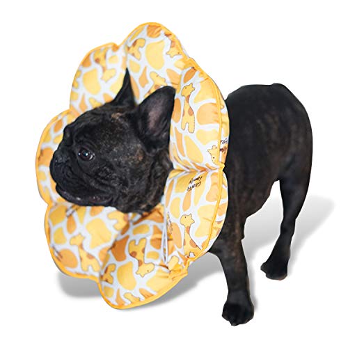 PETCUTE Collar isabelino Perro Conos Inflable para Perros y Gato Collar de Recuperación para Mascotas Cuello isabelino L