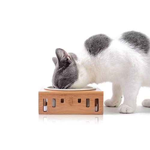 PETCUTE Comederos para Gatos comedero Gato de Madera comedero Perro Alto Elevado