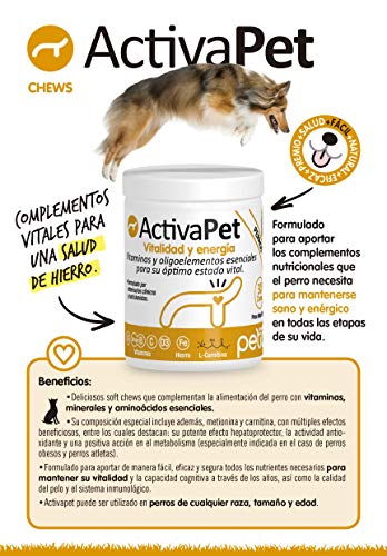 Petia Vet Health ACTIVAPET. (Multivitamínico Perros. Vitaminas Grupo B. Vitaminas E, A, C, D3, Hierro, Cobre, Zinc, Selenio, Manganeso, L Carnitina, L Metionina)