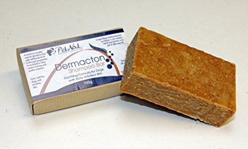 Petnat Dermacton Champú para Perros Itchy Antibacteriano y Antihongos, para Perros con Piel Sensible y alergias.