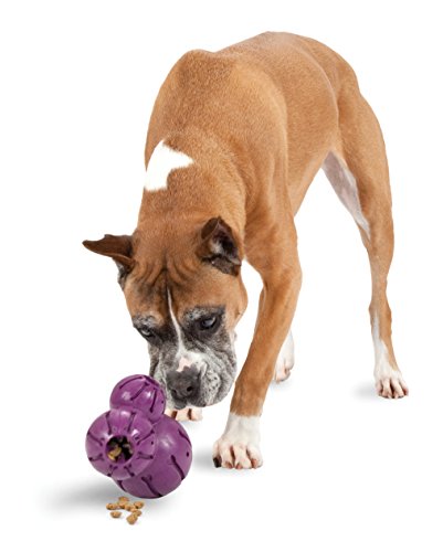 PetSafe - Busy Buddy Barnacle - Juguete Interactivo dispensador de golosinas.