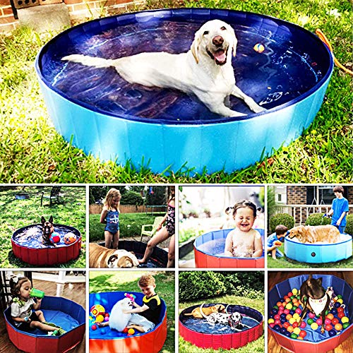 Piscina plegable portátil para mascotas YZH para gatos y perros, para interior y exterior, para baño de mascotas