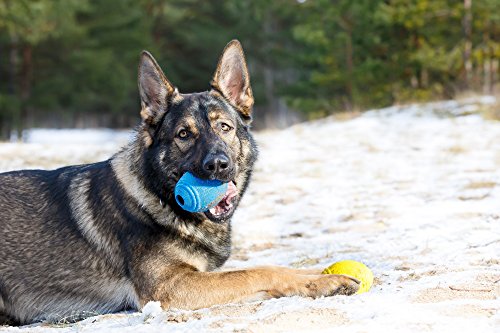 PlayfulSpirit Pelota de Rugby de Recompensas para Cachorros y Perros: Dispensador de Comida, Increíble Destructor del Aburrimiento de Mascota y Juguete de Entrenamiento Básico para Cachorros