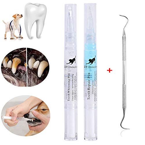 Pluma de limpieza de dientes de Perro para el cuidado dental, gato Cepillo de dientes de belleza Pluma para blanquear los dientes para eliminar el sarro y la placa Raspador de dientes de mascotas