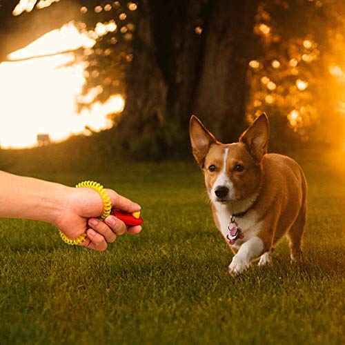 POPETPOP 7Piezas Clicker para Adiestramiento Perro Colorido con Correa De Muñeca para Cachorro Gato Caballo Animales