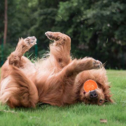 POPETPOP Bola de Spike de 8cm Perro Bola Indestructible Squeaker Ball para Entrenamiento y Limpieza Dental (Naranja)