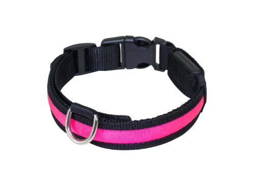 PRECORN Collar para perros luminoso"Zandoo" Collar LED en el color rosa. Tamaño S (35-40cm)