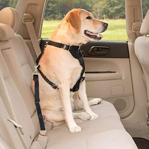 PREMYO Juego 2 Correa Cinturón de Seguridad para Perros en Coche Auto Adaptador Gancho para Arnés Nylon Resistente Ajustable 50-90 cm Más Protección