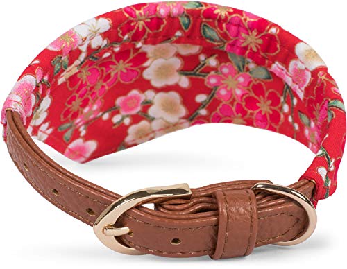 Puccybell Collar de Flores para Perros con Tela y Correa para Perros (1,2 m) en Conjunto, Collar con Bandana y Correa para Perros pequeños y medianos HLS004 (M, Rojo)