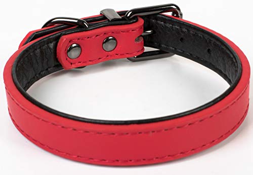 Puccybell Collar para Perros 2 Coloreado con Cuero, Collar clásico en Colores Contrastantes para Perros pequeños, medianos y Grandes HB004 (L, Rojo)