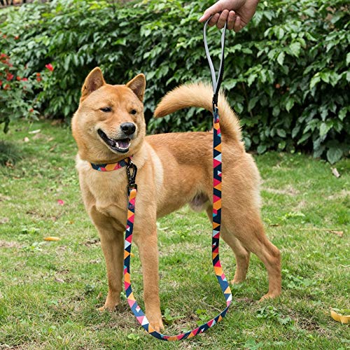 Puccybell Collar y Correa para Perros de Nylon (1,5 m) en un Conjunto, diseño geométrico, para Perros pequeños, medianos y Grandes HLS008 (L, Azul Claro Colorido)