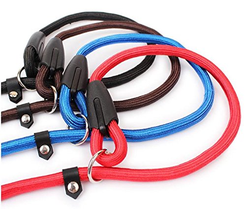 Q4Pets Adiestramiento de Perros Plomo/Correa para Perros Pequeños y Medianos. 1.3M. Cuerda y Collar de Deslizamiento de Cuerda Fuerte, Detener el Entrenamiento de Tiro (Rojo)