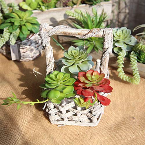 QHKS Planta de Acuario Artificial suculento de simulación Plantas Falsas Aloe Cactus Paisaje DIY Flor de Loto Flor de imitación Creativa DIY Accesorios (Color : 7)