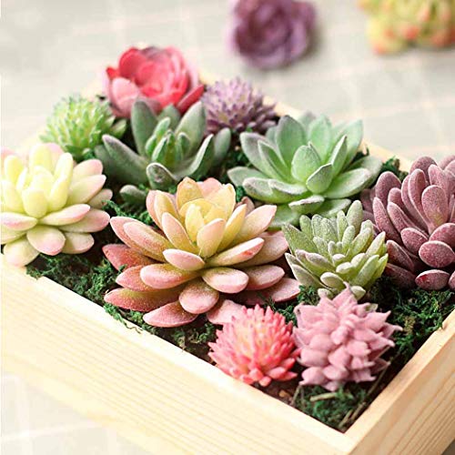 QHKS Planta de Acuario Artificial suculento de simulación Plantas Falsas Aloe Cactus Paisaje DIY Flor de Loto Flor de imitación Creativa DIY Accesorios (Color : 7)