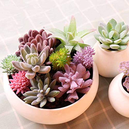 QHKS Planta de Acuario Artificial suculento de simulación Plantas Falsas Aloe Cactus Paisaje DIY Flor de Loto Flor de imitación Creativa DIY Accesorios (Color : 7)