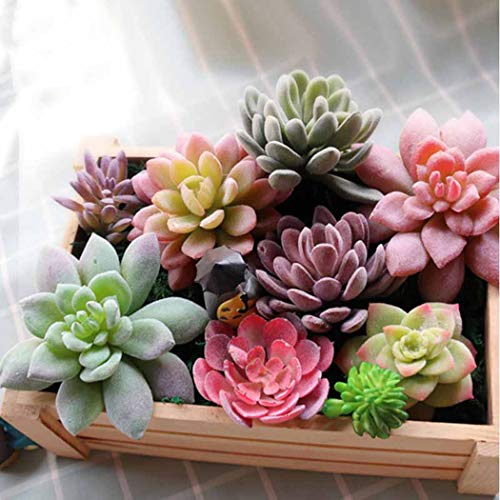 QHKS Planta de Acuario Artificial suculento de simulación Plantas Falsas Aloe Cactus Paisaje DIY Flor de Loto Flor de imitación Creativa DIY Accesorios (Color : 7)