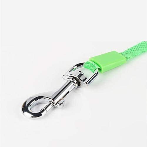 Qianqiusui Correa de Perro retráctil, Animal doméstico Cuerda de tracción automática, Perro Perro Mascota telescópica retráctil Cable Tractor (Color : Green, Size : 5m)