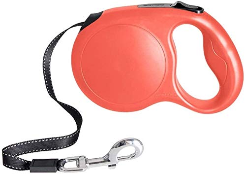 Qianqiusui Correa de Perro retráctil, Correa de Mascota, Perro retráctil Plomo y Medianas Perros Medios Cable retráctil Suministros automáticos Perro Mascota (Color : Orange, Size : 5m)