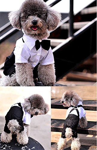 QiCheng & LYS Ropa para Perros Traje Elegante con Estilo de Corbata de moño, Camisa de Esmoquin Formal con Traje de Corbata Negra (L)