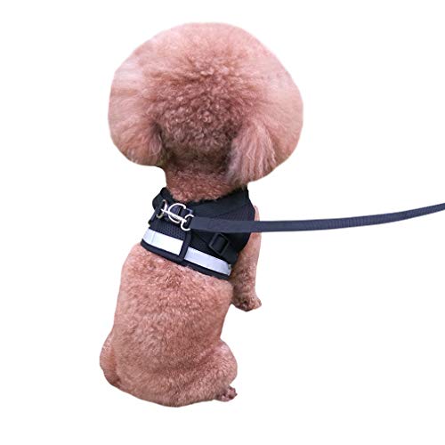 QiCheng&LYS Chaleco de Viaje Regular de Malla Transpirable con Cinturón de Seguridad para Perros y Gatos Chaleco de Seguridad para Mascotas (Negro, XL)