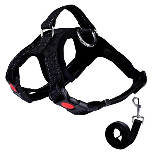 QIMEI-SHOP Arnés de Perro,Arnés de Mascotas Ajustable de Oxford con tirón para Entrenamiento de Perros o Caminar (S-M-L-XL, Negro)