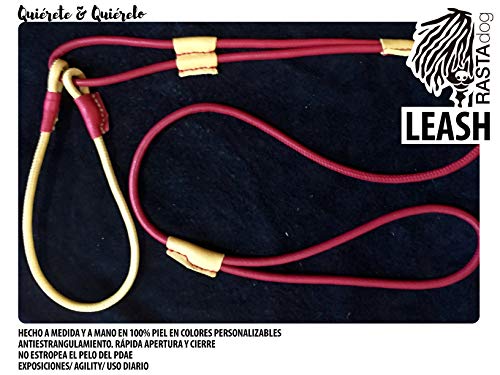 RASTAdog LEASH Correa y Collar Cuero a medida personalizada Perros Adultos y Cachorros Hecha a mano Anti estrangulamiento diario Agility Exposiciones Shows Adiestramiento Plegable ligera resistente 1m