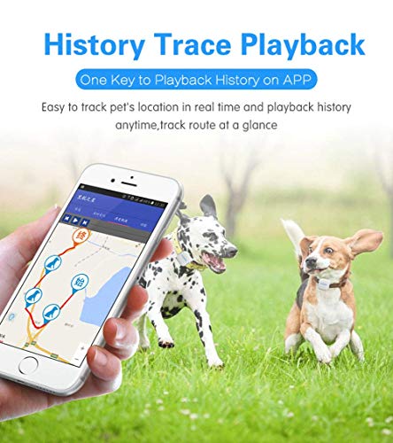 Rastreador GPS para Mascotas, Localizador GPS para Mascotas, Localizador para Mascotas con Collar de Silicona, Rastreador GPS, Monitor Inteligente App, Impermeable IP65, Recolección remota