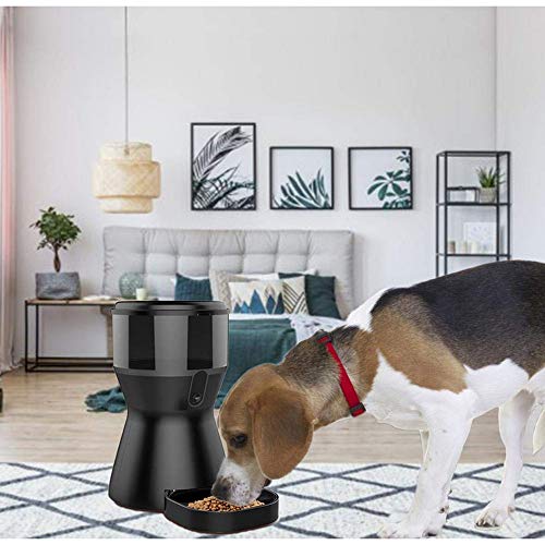 RBTT Pet alimentador automático de alimentación de la cámara Perro monitoreo Remoto de Video vigilancia App monitorización Inteligente HD sincronización Duradero Dieta del Gato Suministros 4L,Negro