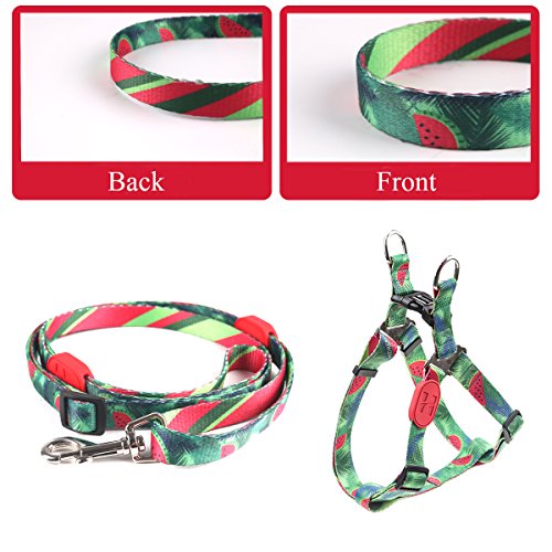 RCruning-EU Correa de Perro Extensible 86-136cm Rainbow Series,Traction Rope Nylon Dog Leash, Wave Pattern Comfortable Training Lead Correa de Perro Grande for Puppy Teddy Under 8KG (S,Watermelon)