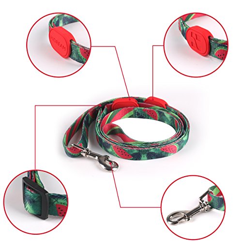 RCruning-EU Correa de Perro Extensible 86-136cm Rainbow Series,Traction Rope Nylon Dog Leash, Wave Pattern Comfortable Training Lead Correa de Perro Grande for Puppy Teddy Under 8KG (S,Watermelon)