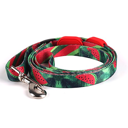 RCruning-EU Correa de Perro Extensible 86-136cm Rainbow Series,Traction Rope Nylon Dog Leash, Wave Pattern Comfortable Training Lead Correa de Perro Grande for Puppy Teddy Under 8KG (S,Watermelon)