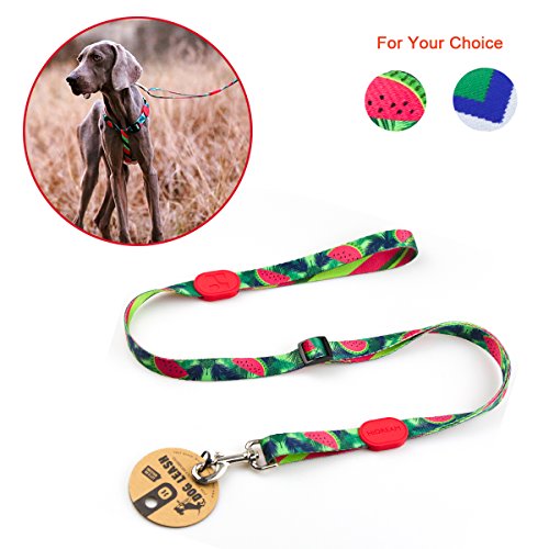 RCruning-EU Correa de Perro Extensible 86-136cm Rainbow Series,Traction Rope Nylon Dog Leash, Wave Pattern Comfortable Training Lead Correa de Perro Grande for Puppy Teddy Under 8KG (S,Watermelon)