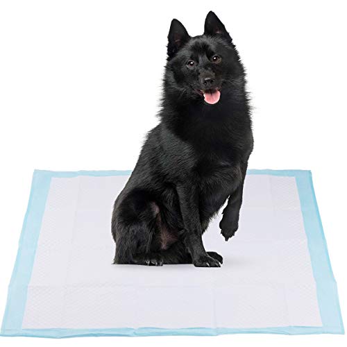 RCruning-EU Empapadores Perros Toallitas de Entrenamiento para Mascotas 60 cm x 60 cm 40 Unidades