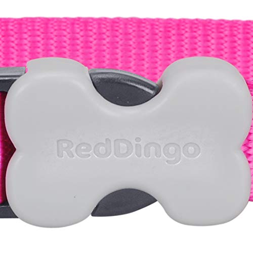 Red Dingo Plain - Collar Perro, Rosa (Hot Pink), talla del fabricante: XS