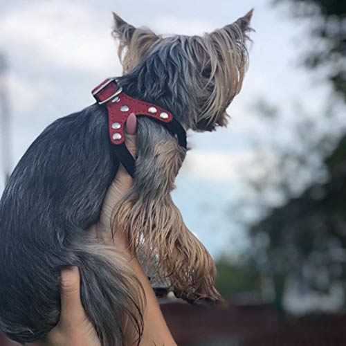 REFURBISHHOUSE Piel de Gamuza Suave Peque？a Mascota ArnéS para Perros para Cachorros Chihuahua Yorkie Teddy Pup Cachorro ArnéS de Pecho Ajustable para Perros Suministros M