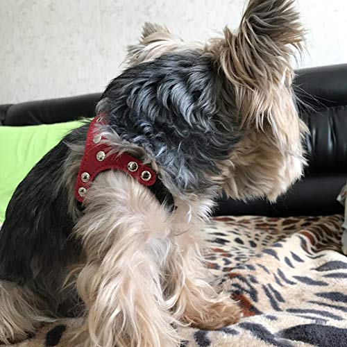 REFURBISHHOUSE Piel de Gamuza Suave Peque？a Mascota ArnéS para Perros para Cachorros Chihuahua Yorkie Teddy Pup Cachorro ArnéS de Pecho Ajustable para Perros Suministros M