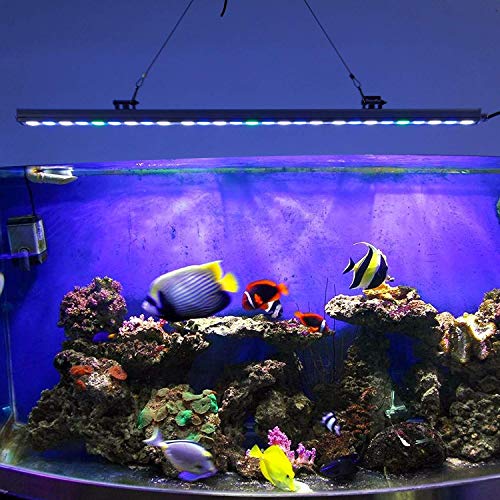 Roleadro Led Acuario,Luz Acuario con Lampara UV Acuario Impermeable IP 65,Iluminacion Acuario para Acuario Arrecife Coral Pescado Planta Crecer (81W)