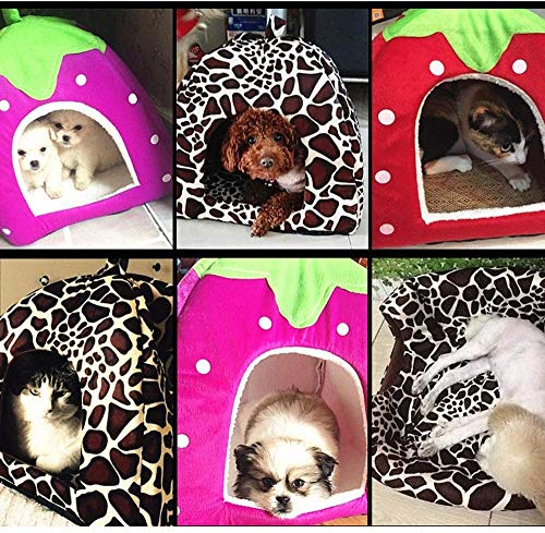 RONGXUE Nido Pet Shop Fresa casa del Gato Deslizamiento de Plegado al Cachorro Cachorro a casa para Dormir Conejo Bolsa de Cave (Rojo, tamaño, XXL),marrón,XX-Large