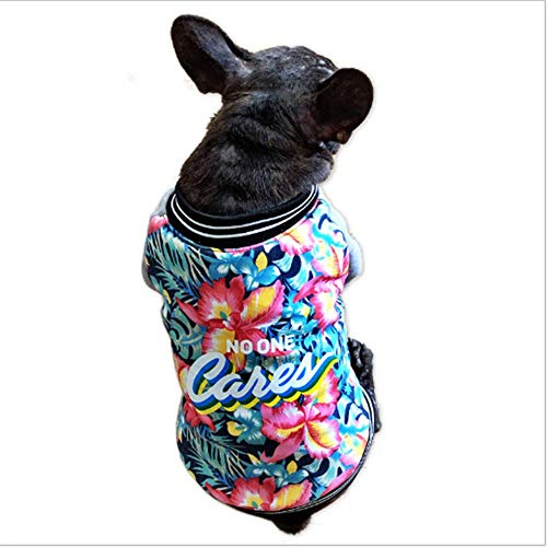 Ropa De Mascota Invierno Ropa De Perro Teddy Fado Bulldog Otoño E Invierno Nuevo Engrosado XXL Gris