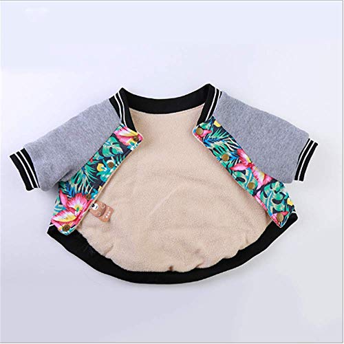 Ropa De Mascota Invierno Ropa De Perro Teddy Fado Bulldog Otoño E Invierno Nuevo Engrosado XXL Gris