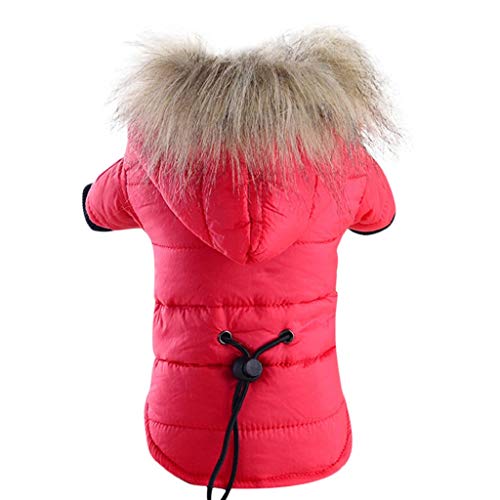 Ropa para Mascotas, Dragon868 Chaqueta con Capucha para Mascotas, Perro Gato otoño Invierno Abrigo cálido Ropa, Chaqueta Yorkshire Terrier Chihuahua Pomerania Peluche con Capucha