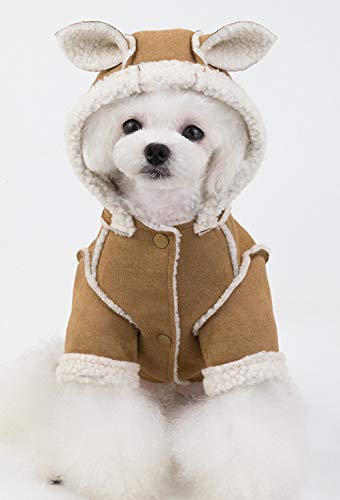 Ropa para mascotas, perros, gatos, ropa de otoño e invierno, moda y linda con capucha, chalecos de piel de cordero, abrigos de invierno, ropa de perro caliente