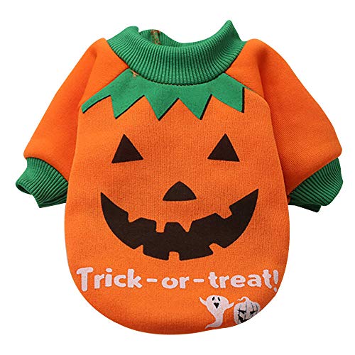 Ropa para Mascotas,Dragon868 Halloween Mascotas Perros de Calabaza de Naranja Sudaderas Ropa