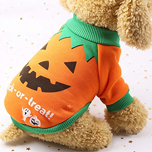 Ropa para Mascotas,Dragon868 Halloween Mascotas Perros de Calabaza de Naranja Sudaderas Ropa