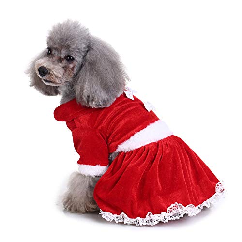 Ropa para Mascotas,Dragon868 Ropa para Perros pequeños Invierno cálido Cuello Redondo Arco-Nudo Sweashirts Vestido para Mascotas Perros, Ropa Perro Chihuahua, Jersey Perro Mediano