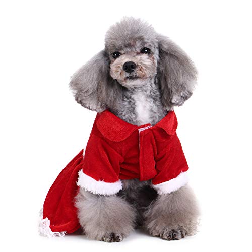 Ropa para Mascotas,Dragon868 Ropa para Perros pequeños Invierno cálido Cuello Redondo Arco-Nudo Sweashirts Vestido para Mascotas Perros, Ropa Perro Chihuahua, Jersey Perro Mediano